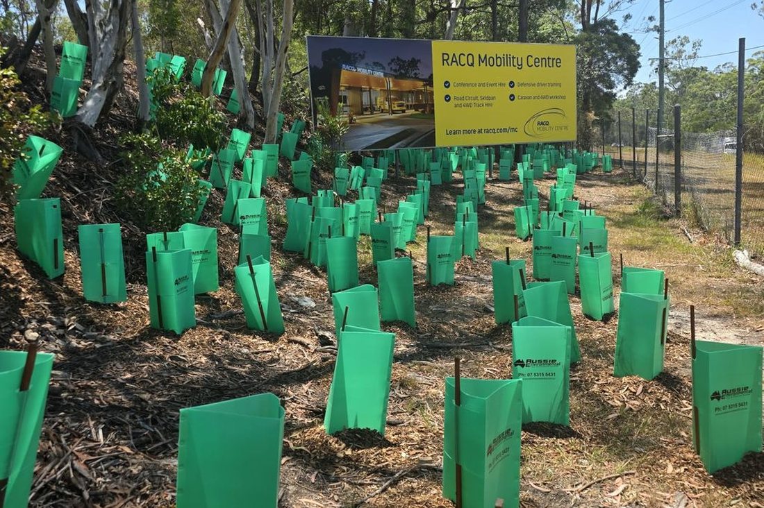 RACQ revegetation — project signage alongside the planted slope